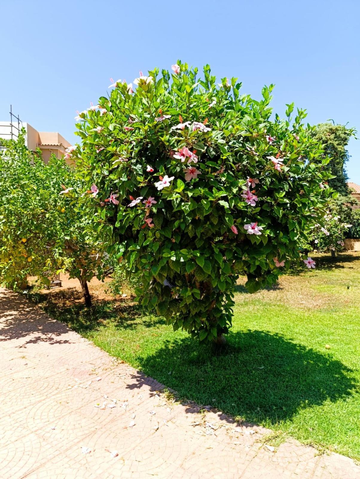 Casa In Giardino A Pochi Passi Dal Mare Villa Palermo Kültér fotó