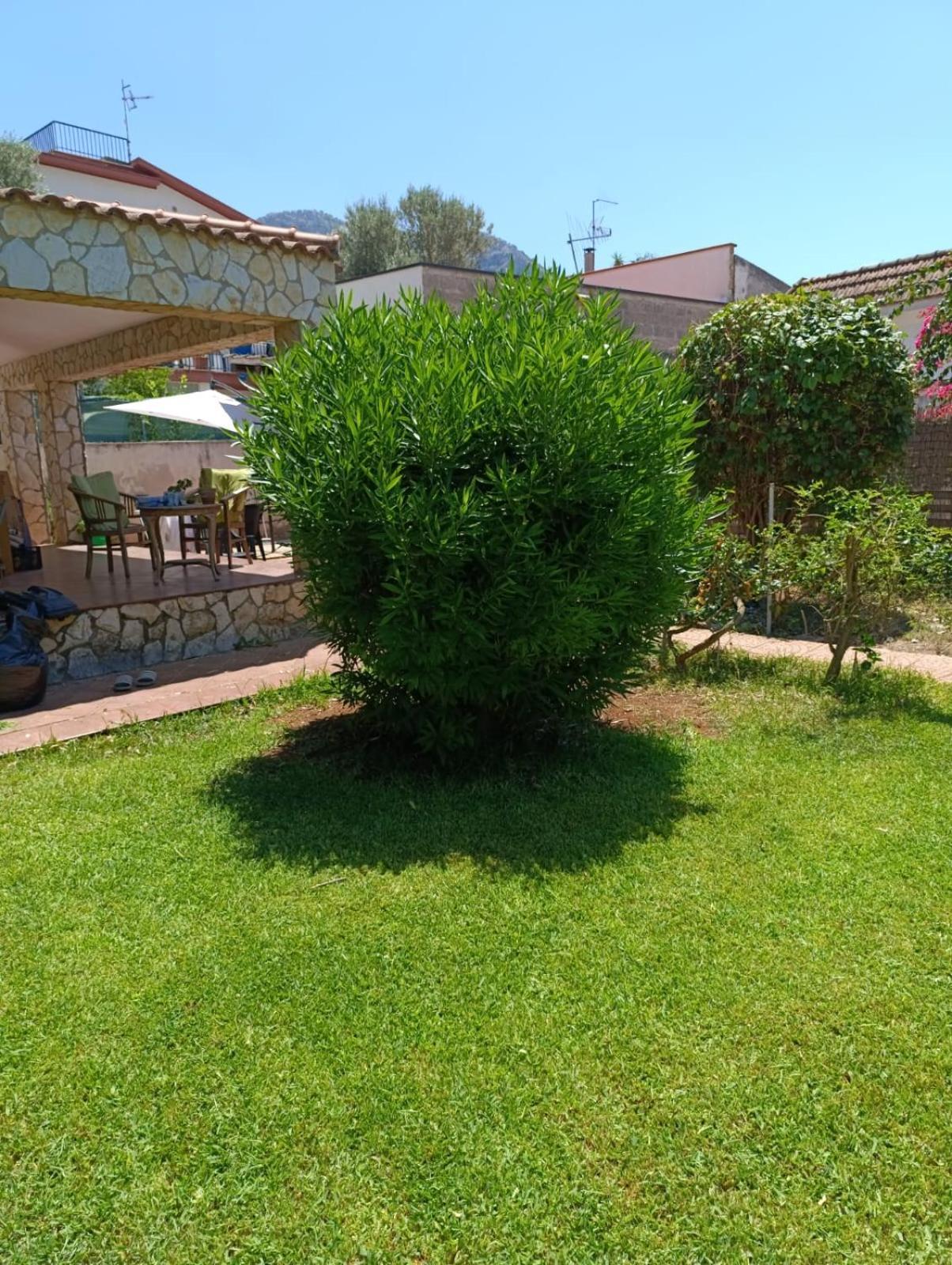 Casa In Giardino A Pochi Passi Dal Mare Villa Palermo Kültér fotó